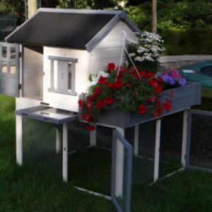 Poulailler Sunshine pour mettre dehors