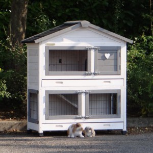 Clapier Excellent Small Blanc-Gris