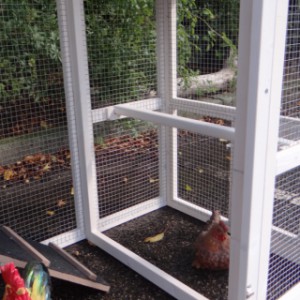 Perche du poulailler