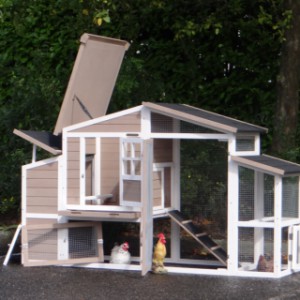 Clapier pour cochon d'Inde ou lapin avec des grandes portes