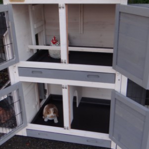 Le clapier pour cochons d’Inde Double Small comporte deux compartiments de nuit séparés