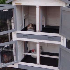 Le clapier pour cochon d'inde Double Small a 2 abris de nuit séparées