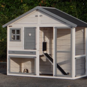 Grand clapier avec rampe