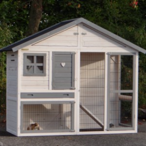 Grand clapier en bois