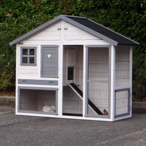 Poulailler blanc, Holiday Medium