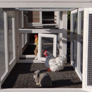 Un vu dans l'enclos du clapier pour lapin Leah