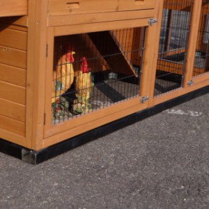 Une fondation permet à votre abri pour animaux d’être plus stable