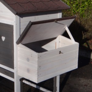 Poulailler en belles couleurs