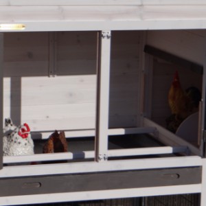 Cage pour poules Prestige Medium