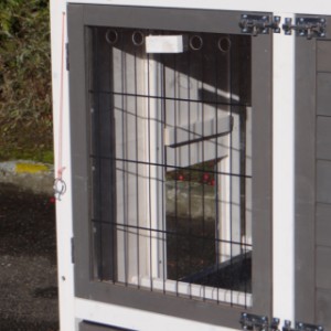 Plaques en plexiglass avant la porte du poulailler Prestige Medium