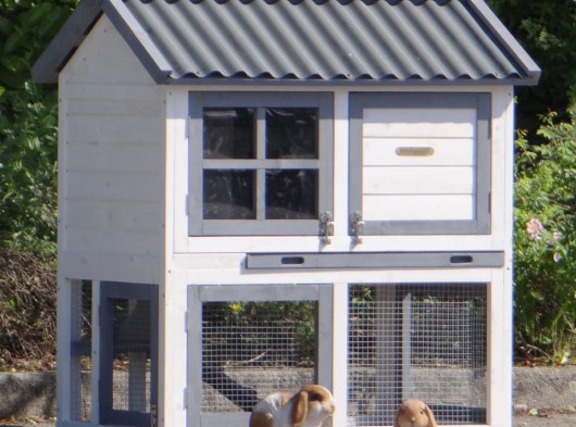 Ensemble d'isolation en plexiglass · pour clapier pour lapin Nice