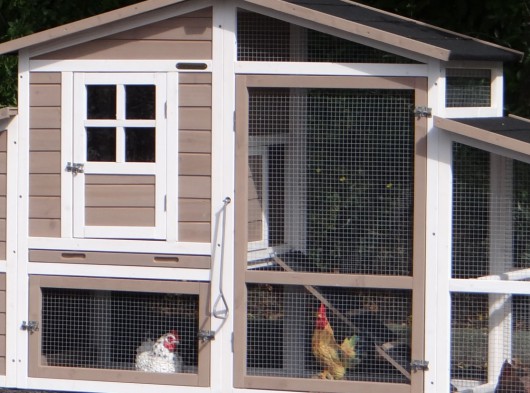 Ensemble d'isolation en plexiglass · pour clapier pour lapin Leah