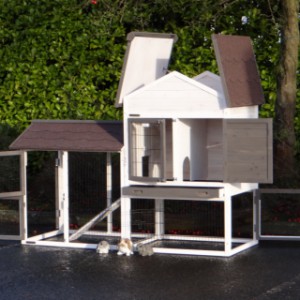 Clapier Prestige Medium