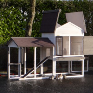 Clapier avec beaucoup de portes