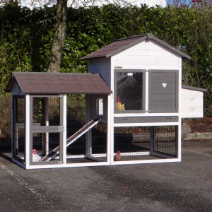 Poulailler Prestige Medium blanc