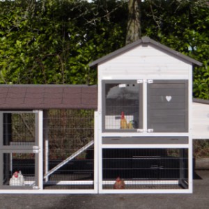 Poulailler avec pondoir