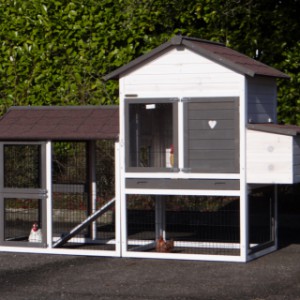 Poulailler avec enclos