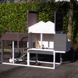 Grand poulailler pour des poules