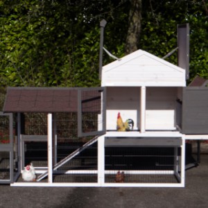 Poulailler Prestige Medium avec grandes portes