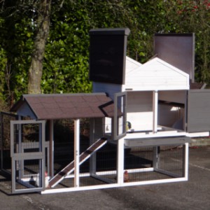 Poulailler avec enclos avec des grandes portes pour un accessibilité optimale