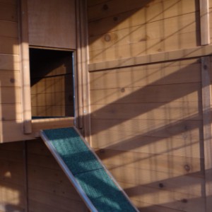 Poulailler acheter en ligne