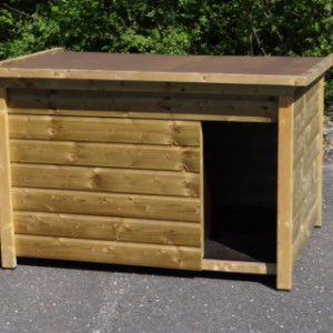 Toit plat niche pour chien Select 4