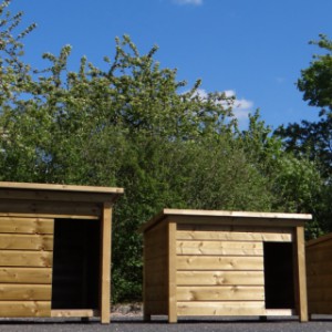 Niches pour chien imprégnées