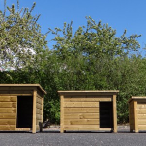 Select niches pour chien à 3 dimensions