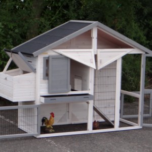 Poulailler avec storage et pondoir